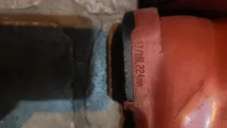 Botas de esquí