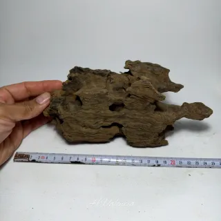 Raíz Dragón para acuario plantas acuario