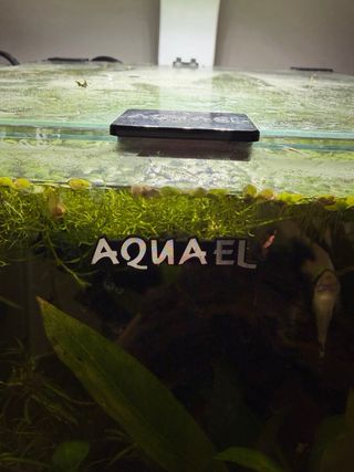 Acuario 19 litros Aquael