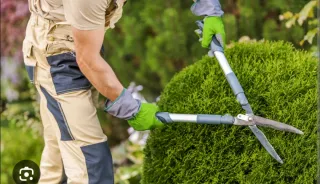 Jardinero | Jardinería | Desbroce