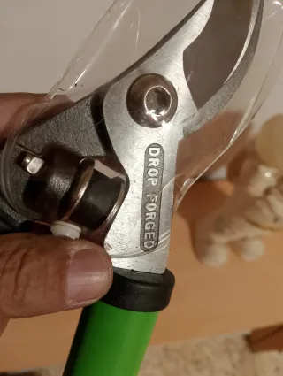 Tijeras de podar verdes