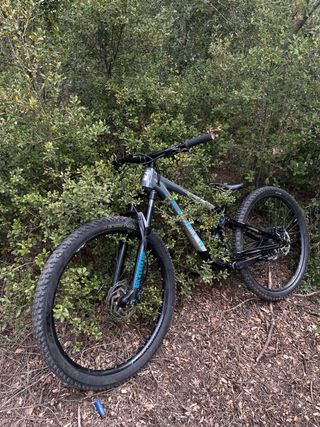 Marin Rift Zone 2021