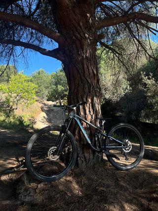 Marin Rift Zone 2021