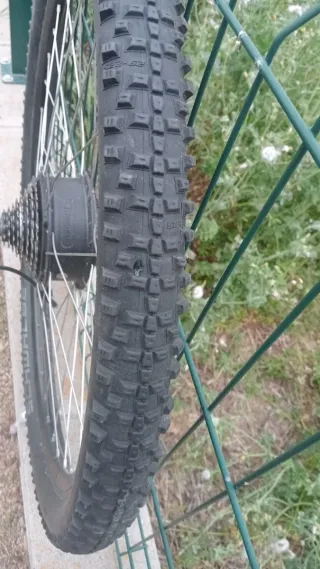 Ruedas Bici Eléctrica Schwalbe Smart Sam 29
