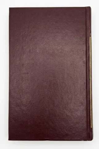 Libro "Crimen y castigo II" - Fedor Dostoyevski