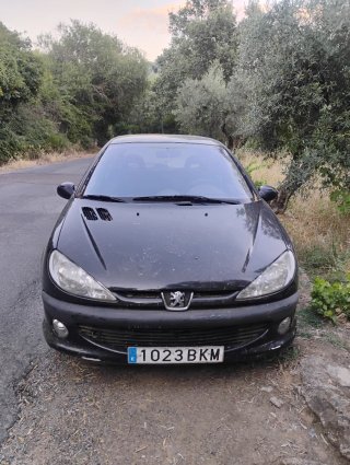 Peugeot 206 2001
