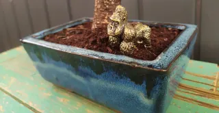 FIGURITA PARA BONSAI
