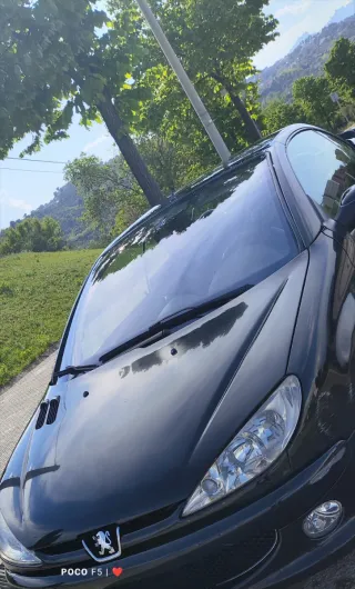 Peugeot 206 2004