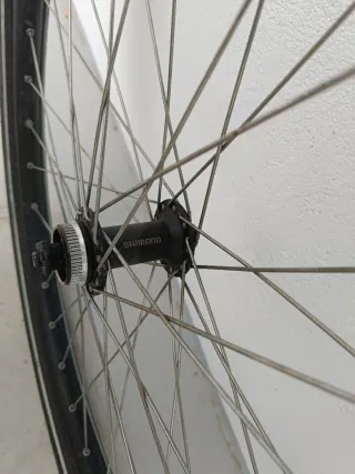 Ruedas de Bicicleta Schwalbe Big Ben