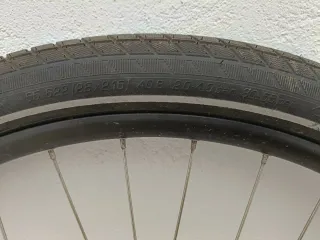 Ruedas de Bicicleta Schwalbe Big Ben