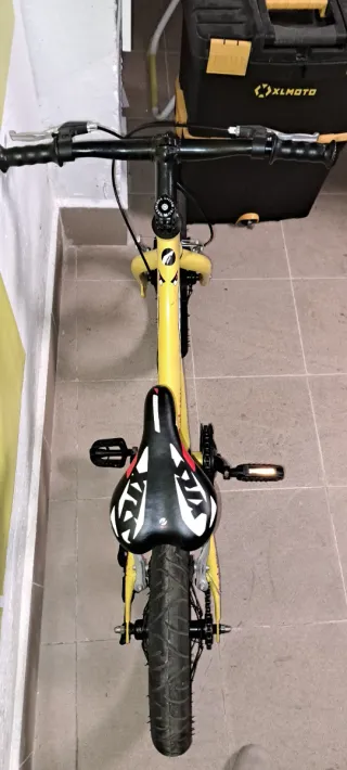 Bicicleta Infantil Fat Shark Torpedo