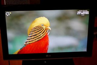 Televisión LG 26LK330 Full HD LCD TV 26 Pulgadas.
