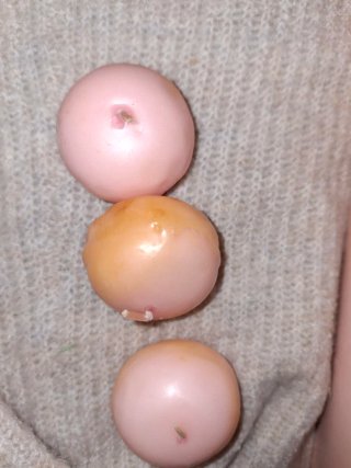 Set regalo candele rosa e bianche
