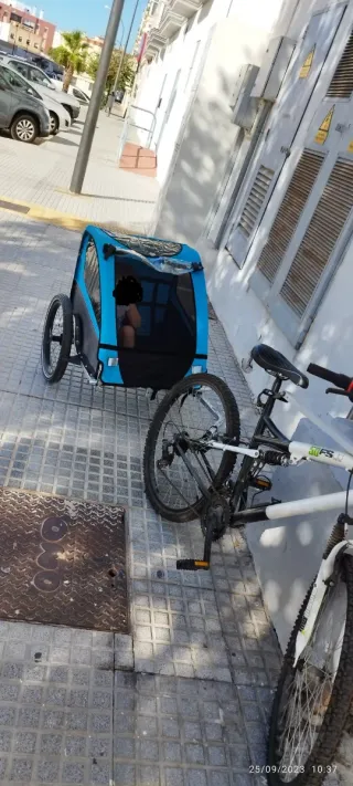 Carro remolque para bicicletas