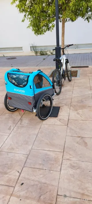 Carro remolque para bicicletas