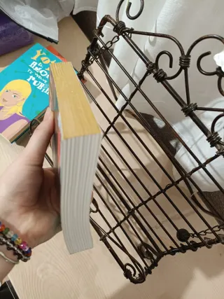 Canto pintado, Finis Mundi Laura gallego