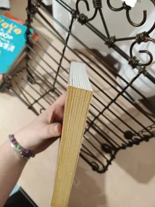 Canto pintado, Finis Mundi Laura gallego