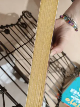 Canto pintado, Finis Mundi Laura gallego