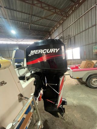 Barca Quicksilver Fish 500
