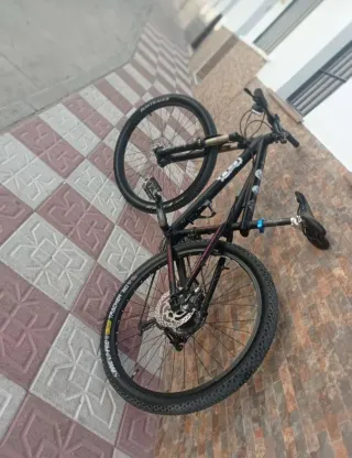 Bicicleta de montaña