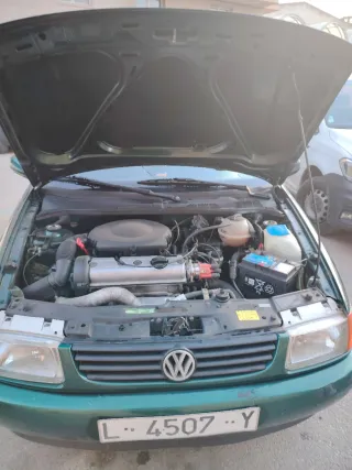 polo polo 1995