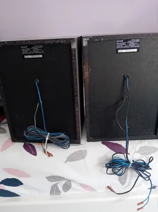 Altavoz Aiwa Subwoofer Potenciado Negro/Plata