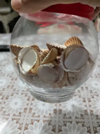 Vasetto decorativo con conchiglie