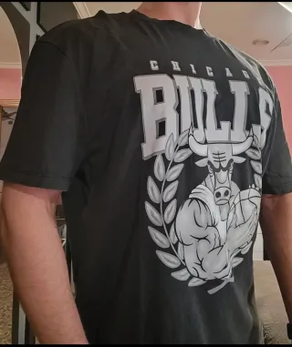 Camiseta Chicago Bulls