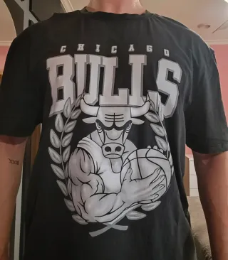 Camiseta Chicago Bulls