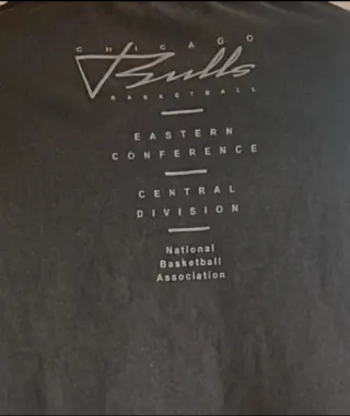 Camiseta Chicago Bulls