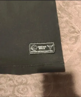 Camiseta Chicago Bulls