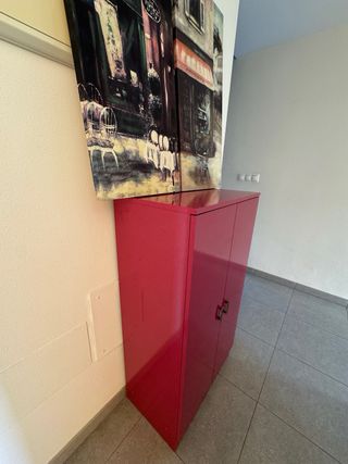 Mueble zapatero + 2 cuadros