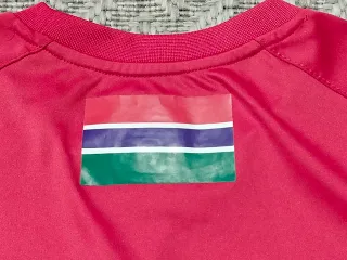 Camiseta Gambia