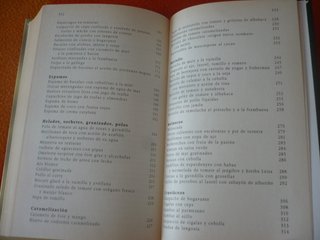 LOS SECRETOS DE EL BULLI ( FERRAN ADRIA ) RECETAS