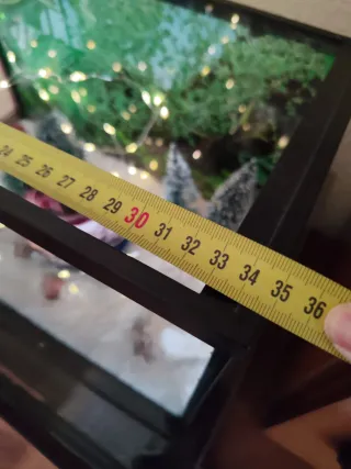 Pecera de cristal sin tapa