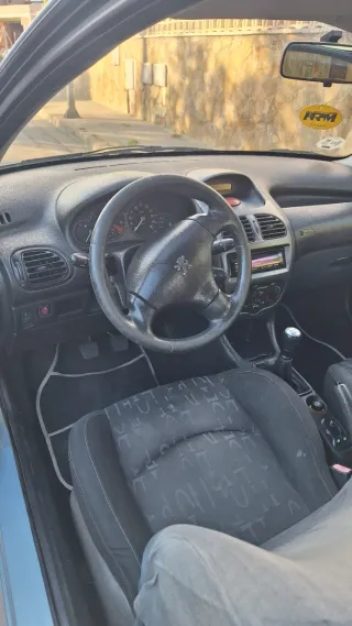Peugeot 206 gasolina
