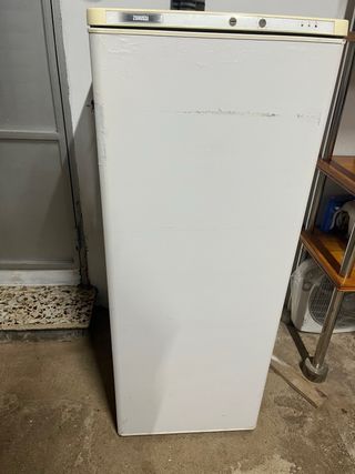 Congelador Zanussi