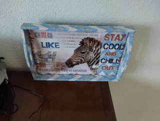 Bandeja Decorativa Stay Cool Cebra