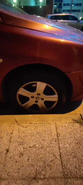 Piezas de coche Peugeot 307