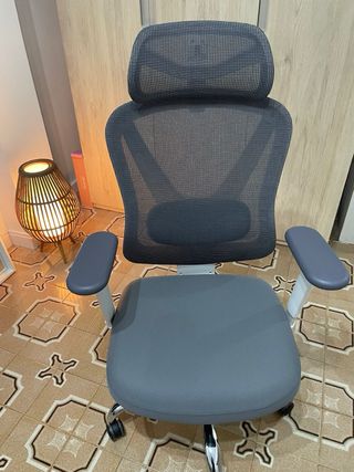 Holludle Silla ergonómica oficina gris y blanca