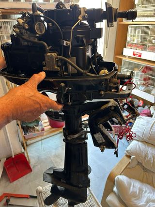 Motor fueraborda Mercury F5M 5 CV 5T – Muy cuidado