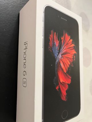 iPhone 6s Plata