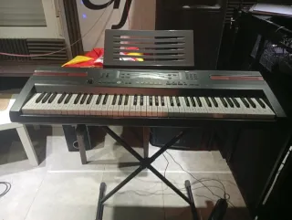 Órgano Casio WK-110 con base,precio no negociable