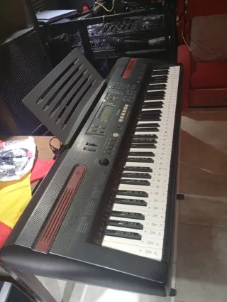 Órgano Casio WK-110 con base,precio no negociable