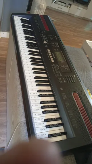 Órgano Casio WK-110 con base,precio no negociable