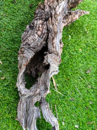 Tronco madera natural terrario