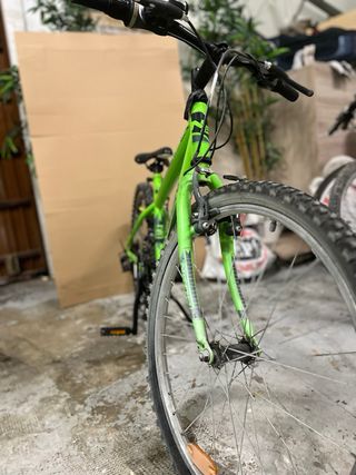 Bicicleta Neon X-Team Pro R24