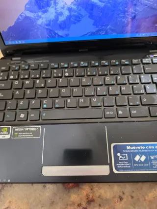 Netbook Asus Eee PC 1215N Negro