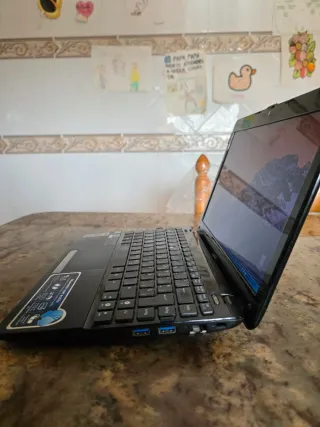 Netbook Asus Eee PC 1215N Negro