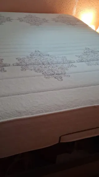 Cama como de hospital idraulica con mando de 120x2